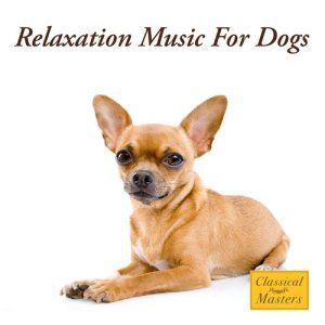 收聽The Dog Whisperer Band的Relax & Calm歌詞歌曲