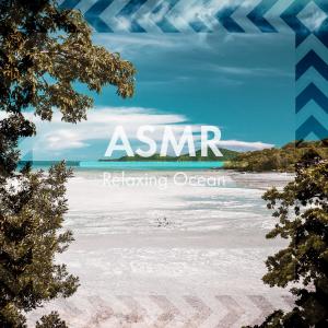 ดาวน์โหลดและฟังเพลง Vinyasa Waves พร้อมเนื้อเพลงจาก Riding the Waves