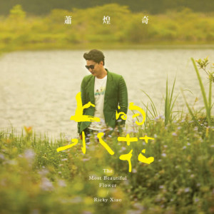 ดาวน์โหลดและฟังเพลง The Most Beautiful Flower พร้อมเนื้อเพลงจาก 萧煌奇