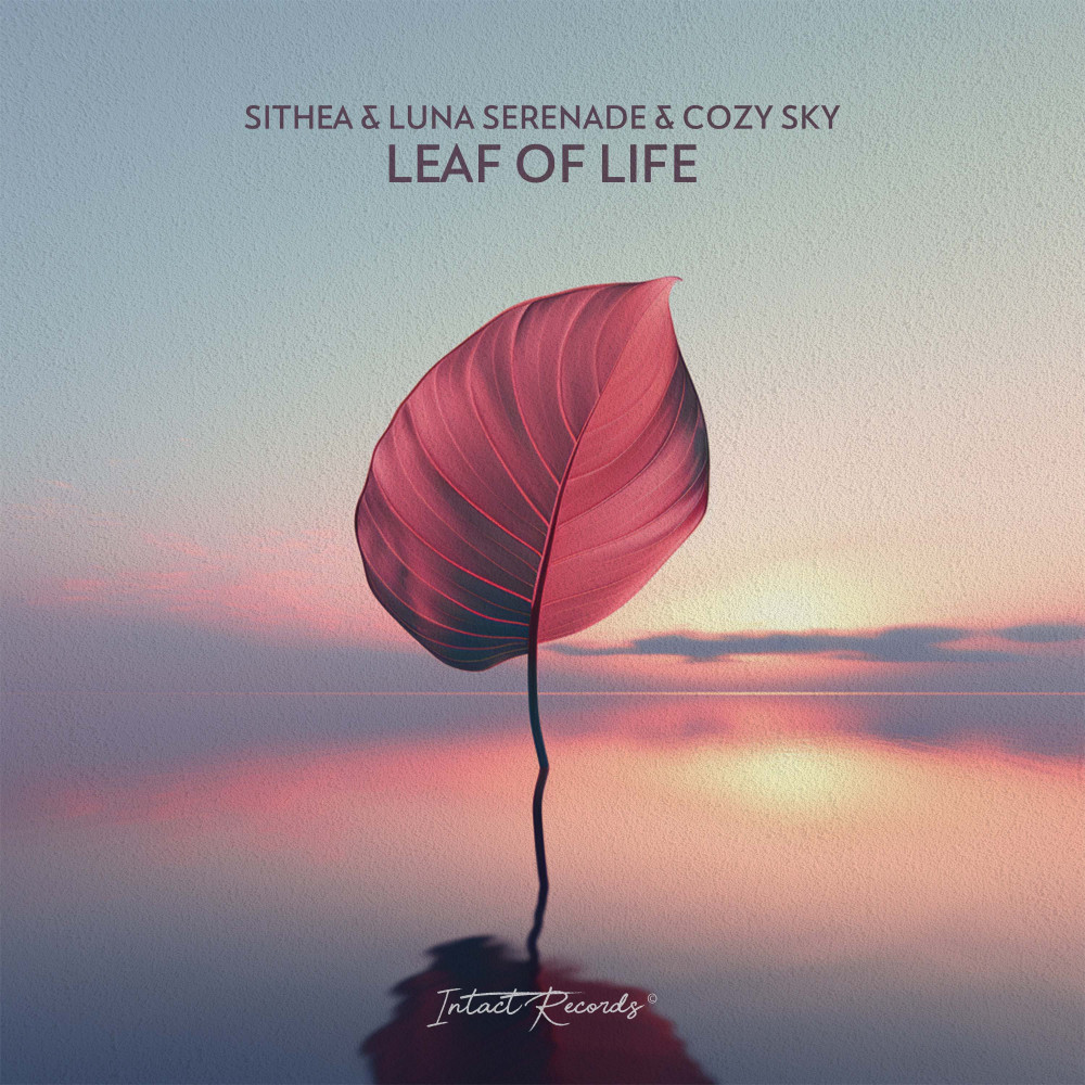 Leaf Of Life