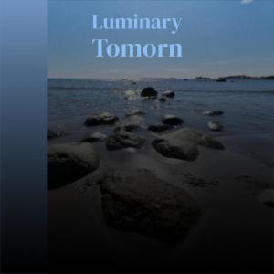 Various Artists的专辑Luminary Tomorn