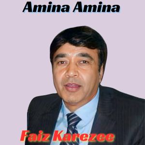 Listen to Amina Amina song with lyrics from Faiz Karezee