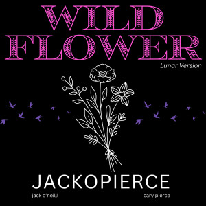 Listen to Wildflower (Lunar Version) song with lyrics from Jackopierce