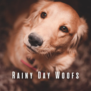 School of Rain的專輯Rainy Day Woofs: Chill Music for Dogs by the Ocean