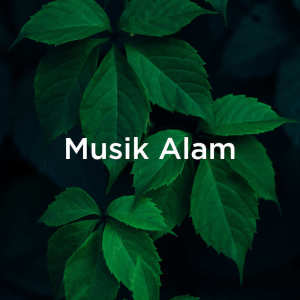 Dengarkan Deep Sleep Music & Oceans lagu dari BodyHI dengan lirik