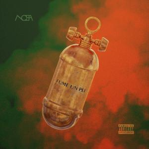 Album Fume un pli oleh Nosa