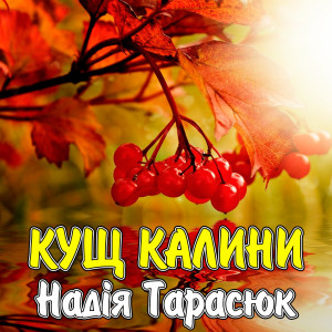 Надія Тарасюк的专辑Кущ калини