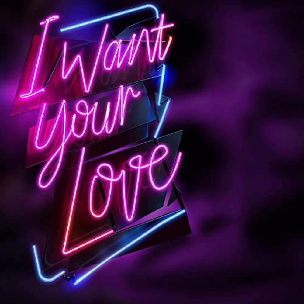 I Want Your Love