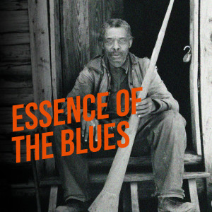ดาวน์โหลดและฟังเพลง I've Grown So Ugly พร้อมเนื้อเพลงจาก Robert Pete Williams
