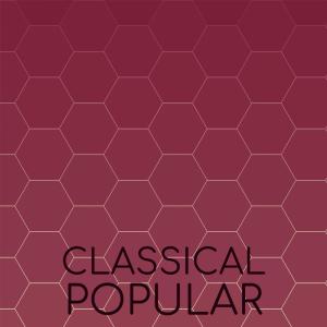 Various Artists的專輯Classical Popular