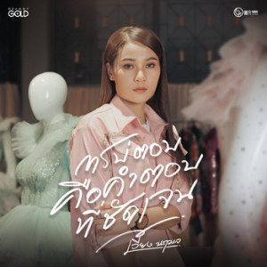 ดาวน์โหลดและฟังเพลง การบ่ตอบคือคำตอบที่ชัดเจน พร้อมเนื้อเพลงจาก เวียง นฤมล