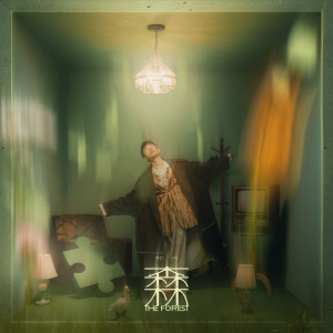 收聽鄭興的森林歌詞歌曲