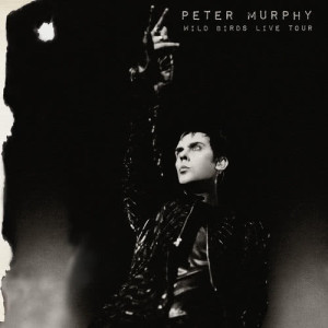 Peter Murphy的專輯Wild Birds Live Tour