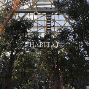 อัลบัม Into You ศิลปิน Habitat