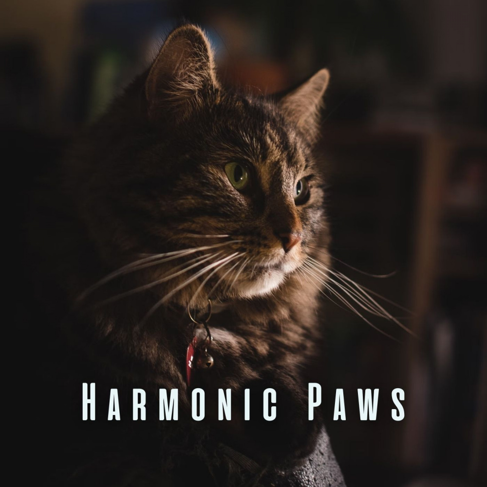 Healing Paws