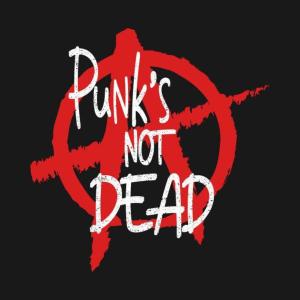 Listen to Demito Punk {Vivo) (En Vivo) song with lyrics from Paranoia Punk!