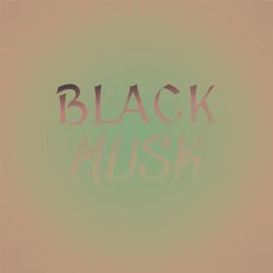Album Black Musk from Various