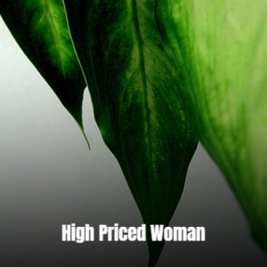 Album High Priced Woman from Various Artists