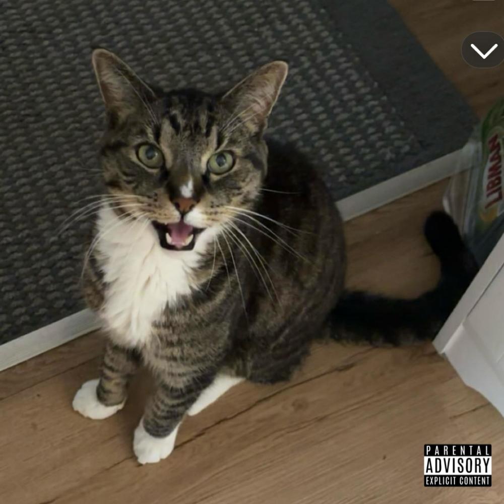 Hurts (Explicit)
