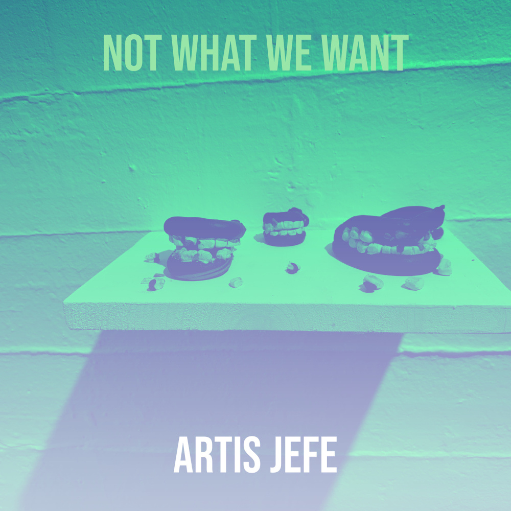 Not What We Want