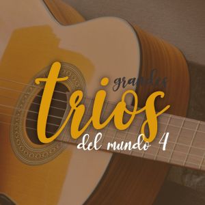 Listen to Pedacito Por Pedacito song with lyrics from Trío Avileño