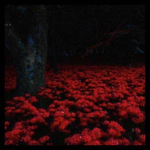 Swoozy的專輯HIGANBANA