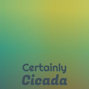 Listen to Whichever Search song with lyrics from Gona Kadek