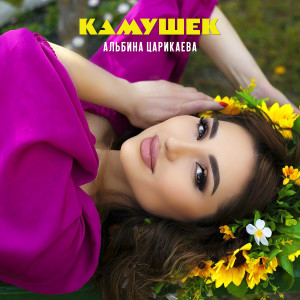 Dengarkan Камушек lagu dari Альбина Царикаева dengan lirik