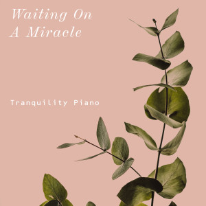 Tranquility Piano的專輯Waiting on A Miracle