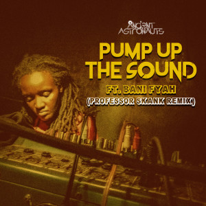 Album Pump up the Sound (Professor Skank Remix) (Explicit) from 