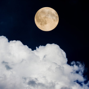 Listen to Into the Clouds song with lyrics from Deep Sleep