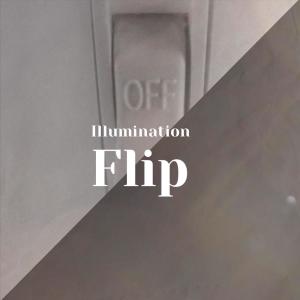 Album Illumination Flip from Various