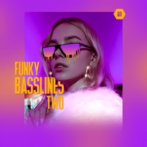 Album Funky Basslines 2 from Benjamin Ziapour