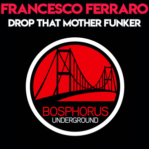 收聽Francesco Ferraro的Drop That Mother Funker (ViliV Remix)歌詞歌曲