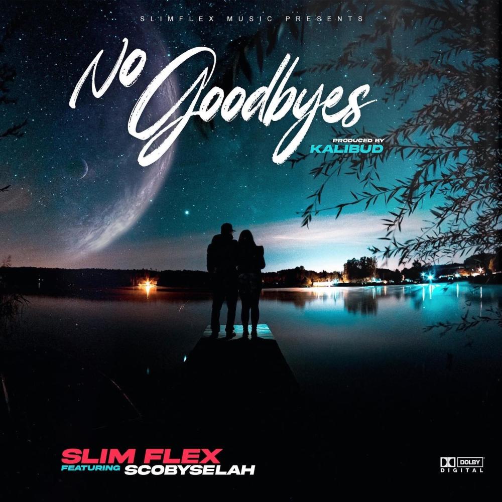 No Goodbyes(feat. XLNC)