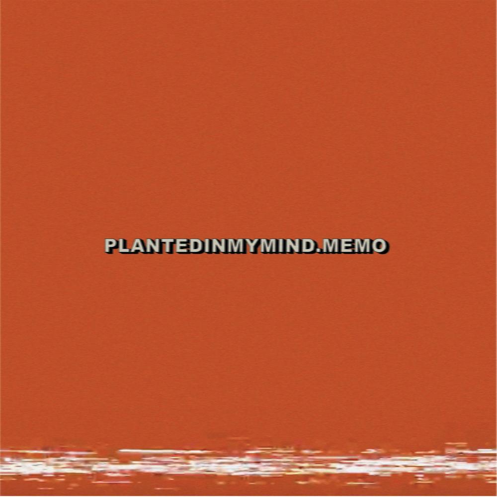 PlantedInMyMind.Memo