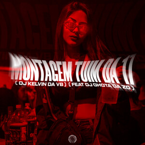 Album MONTAGEM  TUIM DA 17 from DJ KELVIN DA VB