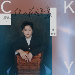 Dengarkan 你不在我身旁 (伴奏) lagu dari 陈柯宇 dengan lirik