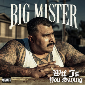 Album WTF Is You Saying (Explicit) from Big Mister