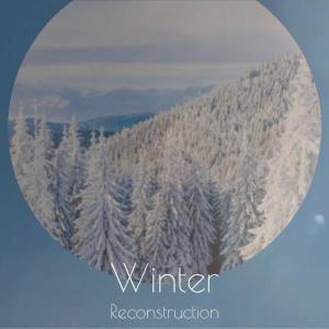 Album Winter Reconstruction from Various