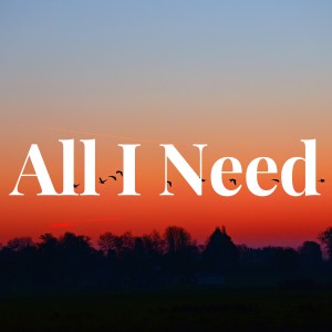 Album All I Need oleh DJ Abreu