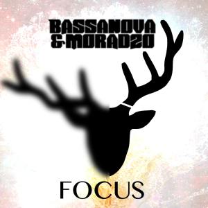 Album Focus oleh Bassanova