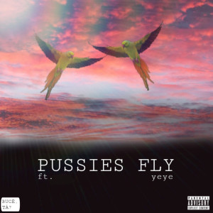 ดาวน์โหลดและฟังเพลง PUSSIES FLY (Explicit) พร้อมเนื้อเพลงจาก Gabi Bucé