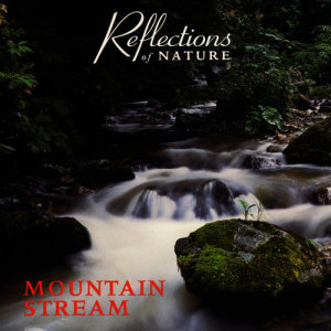 Michael Stanton的專輯Mountain Stream