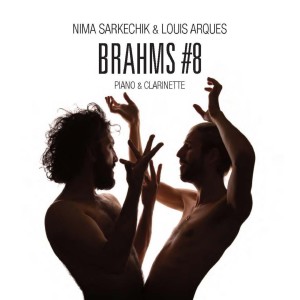 Listen to Clarinet Sonata No. 2 in E-Flat Major, Op. 120 No. 2: I. Allegro amabile song with lyrics from Nima Sarkechik