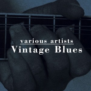 ดาวน์โหลดและฟังเพลง Farewell Little Girl พร้อมเนื้อเพลงจาก Sunnyland Slim