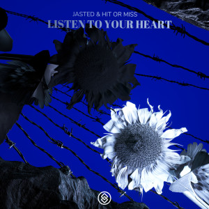 Listen To Your Heart dari Jasted