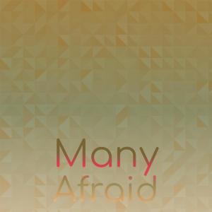 Album Many Afraid oleh Various