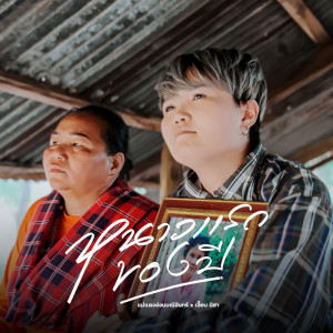 Listen to หนาวแรกของปี song with lyrics from แม่แตงอ่อน มณีจันทร์