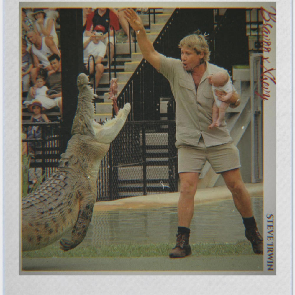 Steve Irwin (feat. Bravoo Hunnidz) (Explicit)
